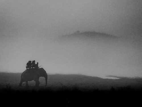 Monochrome