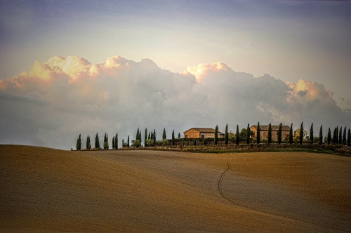 Landscape