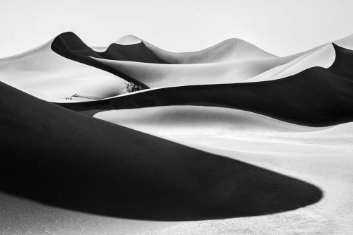 Monochrome