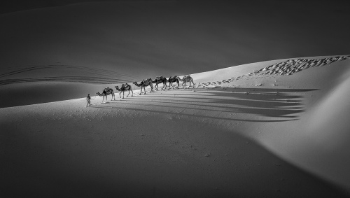 Monochrome