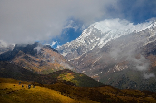 MOUNTAIN STORY