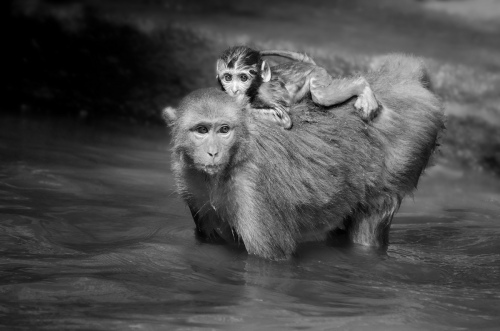 PROTECTIVE