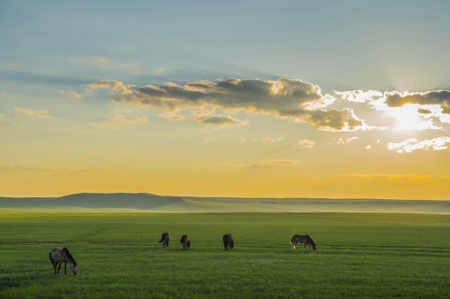 Landscape