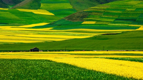 Landscape