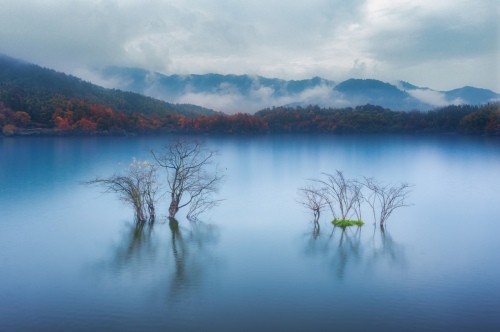 Landscape