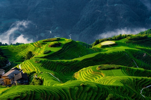 Travel