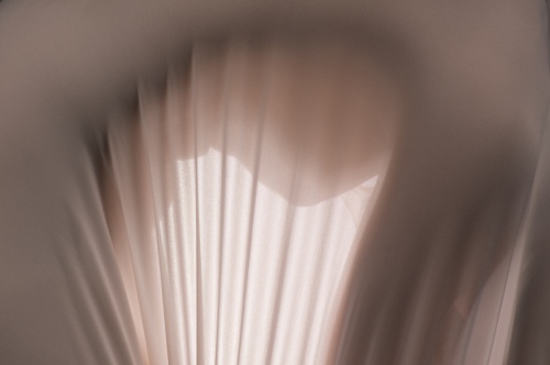 Nude/staged photography