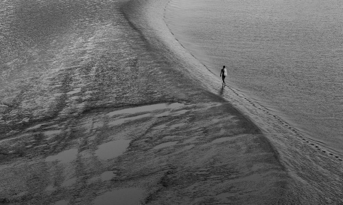 Monochrome