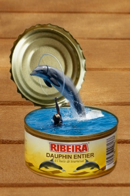 Creative