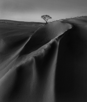 Monochrome