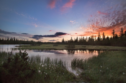 Landscape