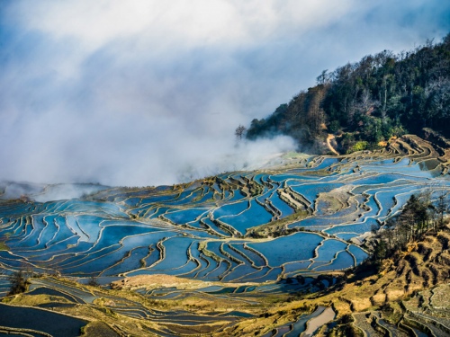 Blue terraces