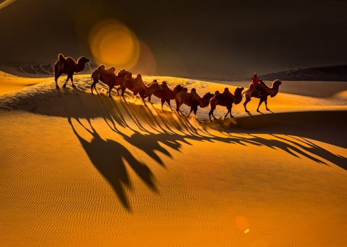 Travel