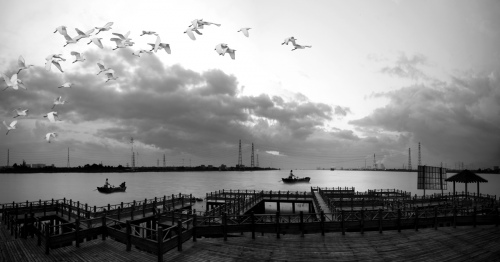 Monochrome