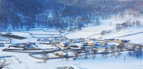 Landscape