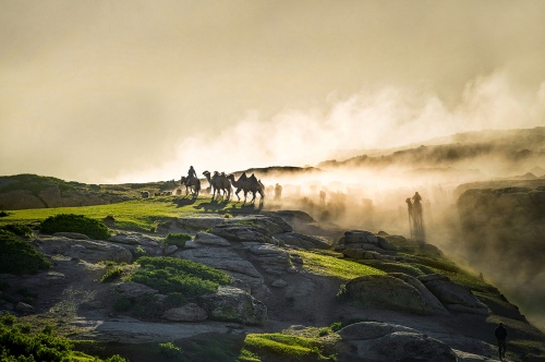 Landscape