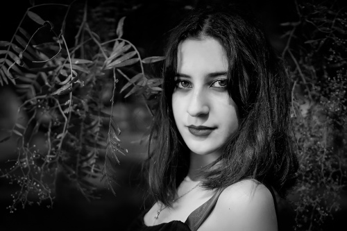 Monochrome