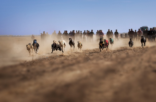 Sports/journalisme photography