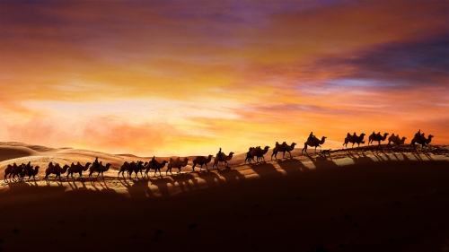 To the horizon