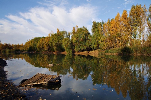 Landscape