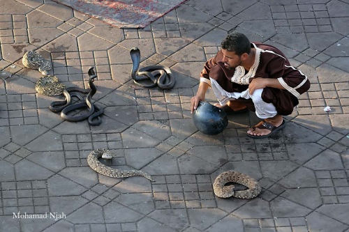 Street Photography