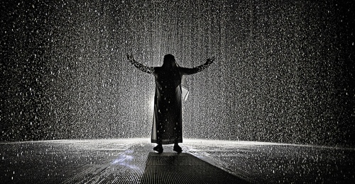 rainy dreams