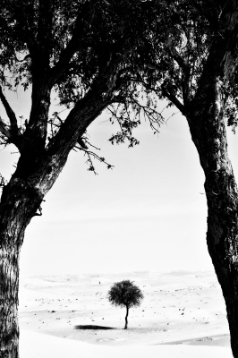 Silence