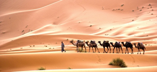 Travel