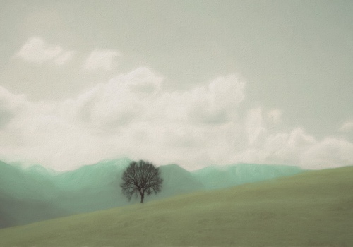 Lonely tree