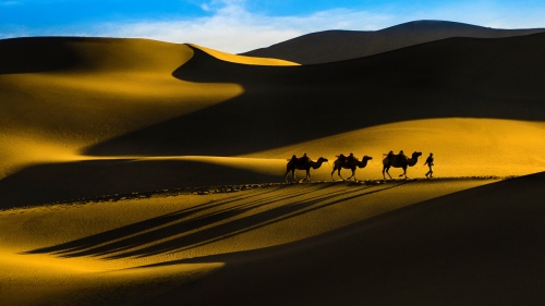 Great Journey of Taklamakan Desert