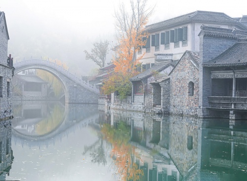 Reeds and bridges in autumn 2