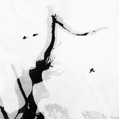 Monochrome