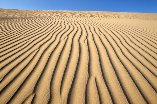 In the desert