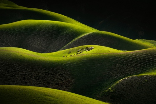 Landscape