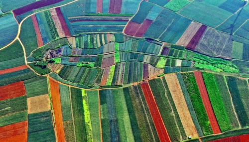 Color palette of the earth