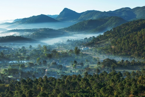 Foggy Hills