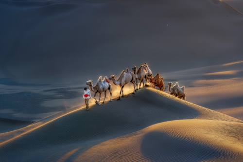 Travel
