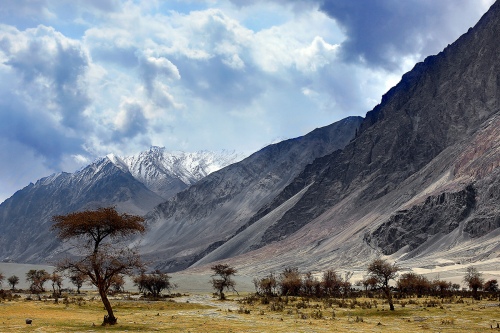 Landscape