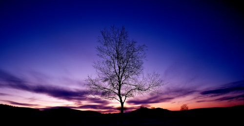 Rebirth