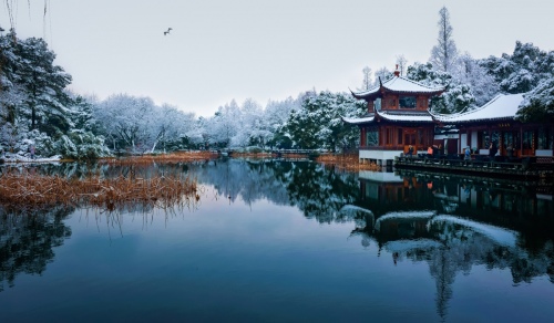 Silence after snow