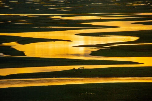 Landscape