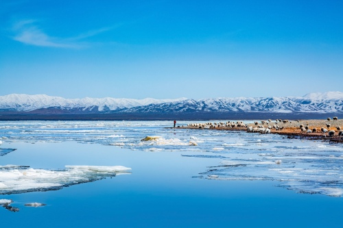 Pasture on ice and snow