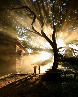Buddha light