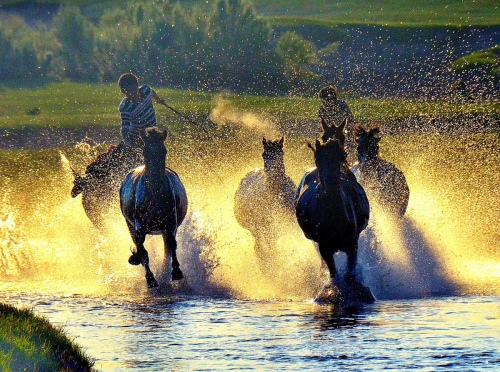 Galloping horses