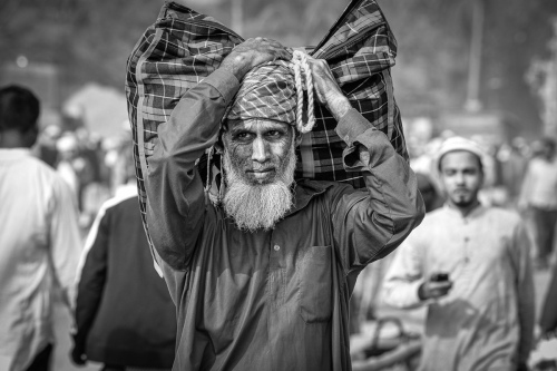 Traveller