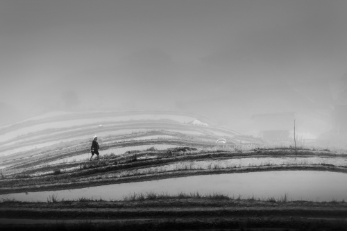 Monochrome