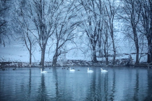 Nature