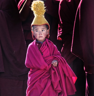 Little Lama
