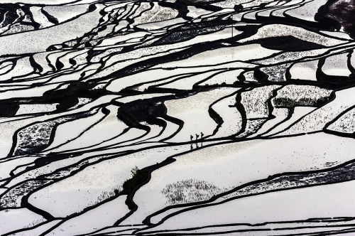 Monochrome