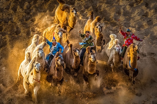 Galloping horses
